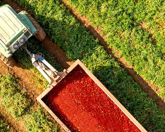 Das Etikett erzählt von sich... auf smarte Weise
