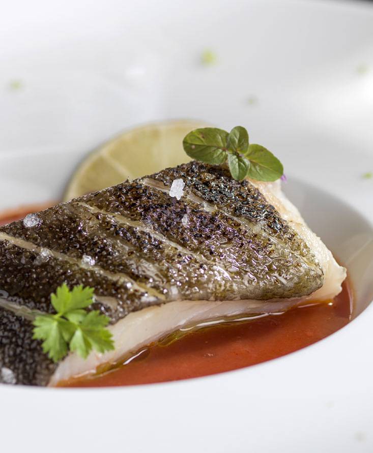 STOCKFISCH MIT KNUSPRIGER HAUT AUF EINEM TOMATENSAUCENSPIEGEL