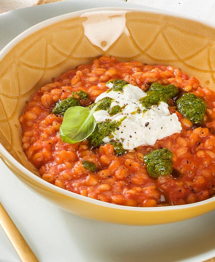 A Tomaten-Orzotto mit Burrata und Basilikumsauce | Pomito Austria